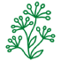 flowering-trees