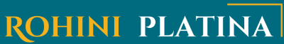 Platina Logo