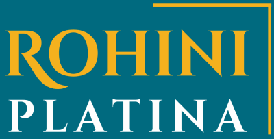 Platinaa Logo
